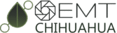 grupooemt chihuahua logotipo