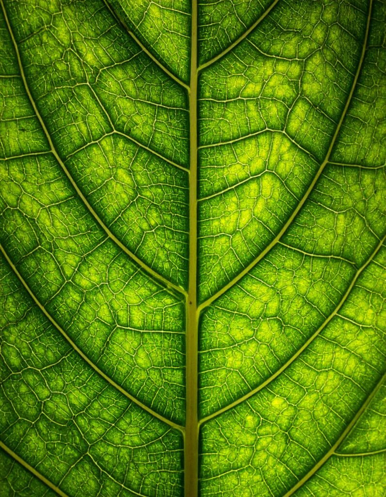 agricultura 01