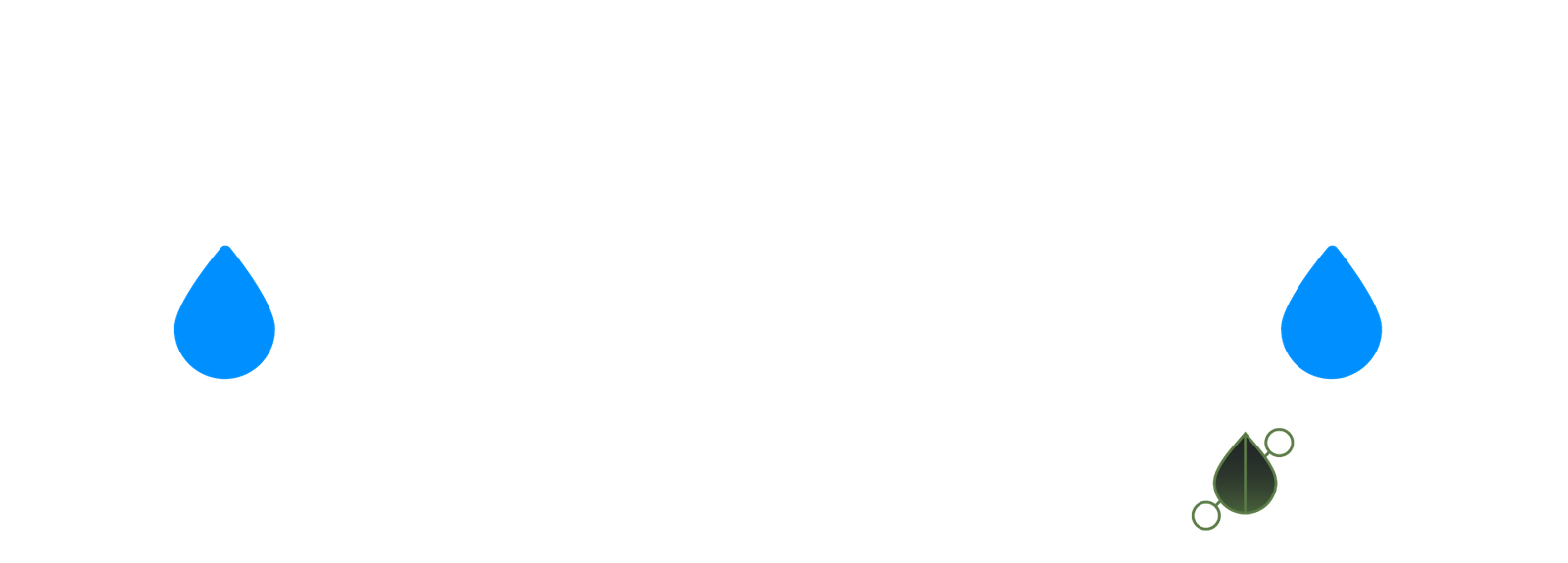 logo aqva oficial w